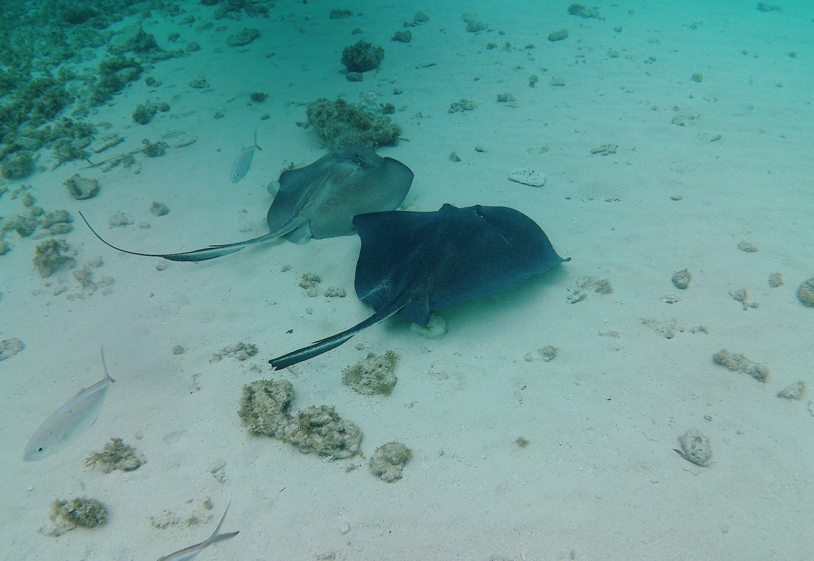 All Inclusive Tour 3