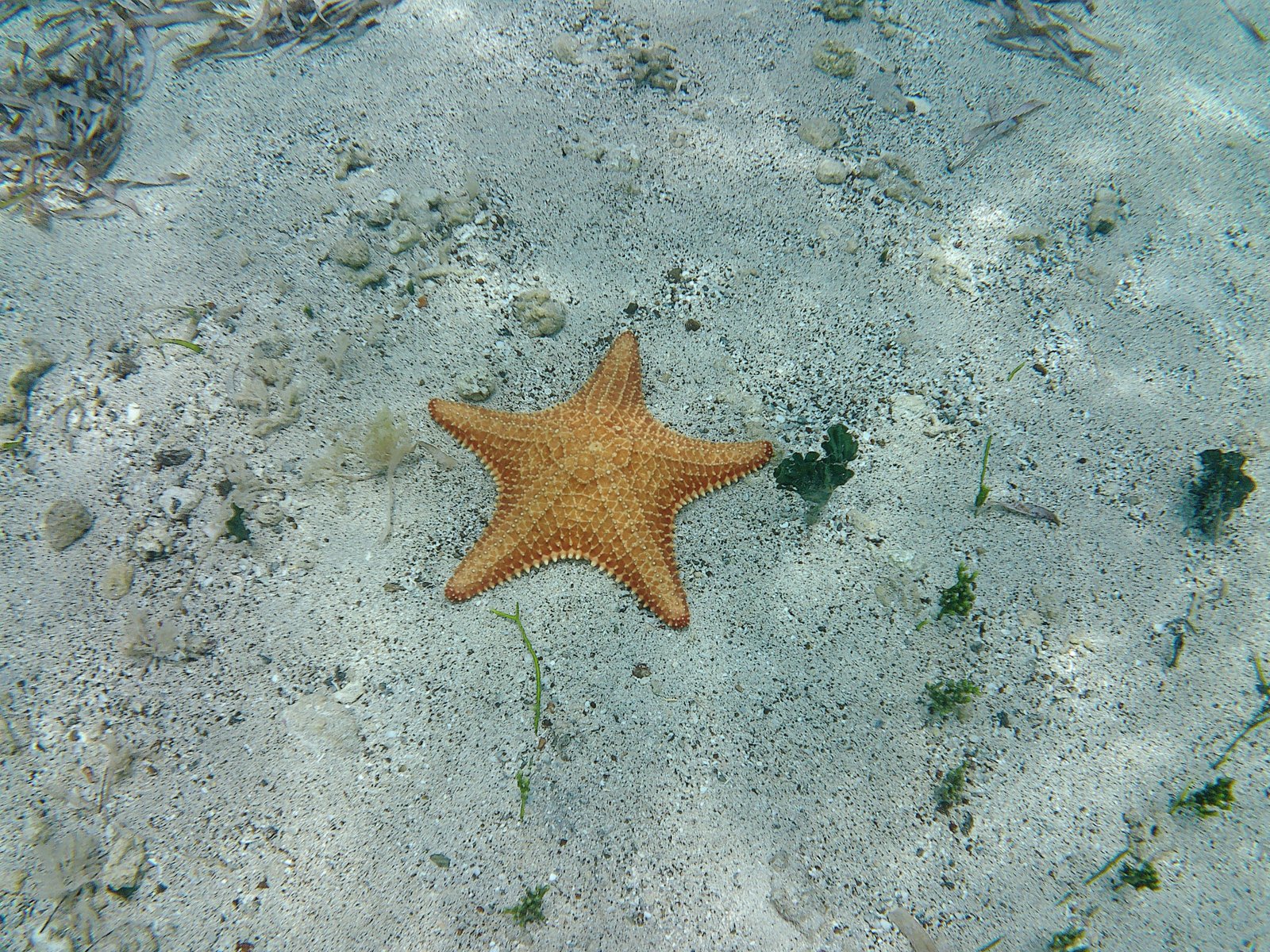 All Inclusive Tour 2