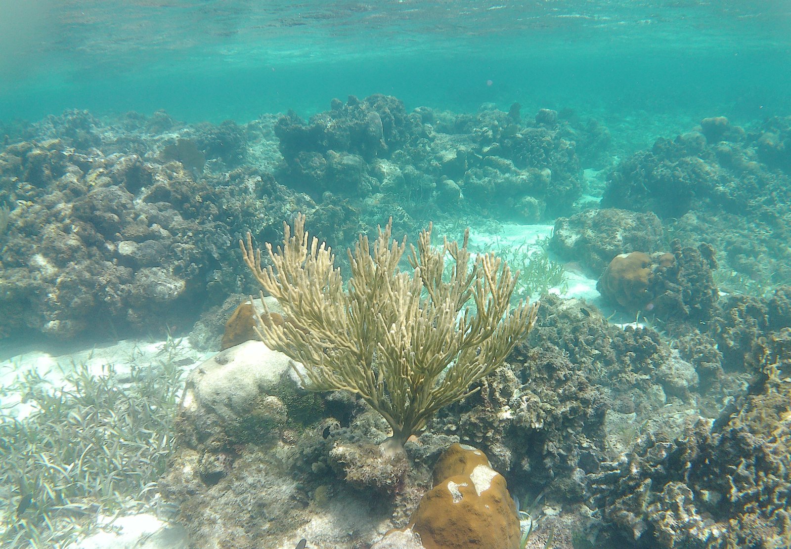 Snorkeling Tour 3
