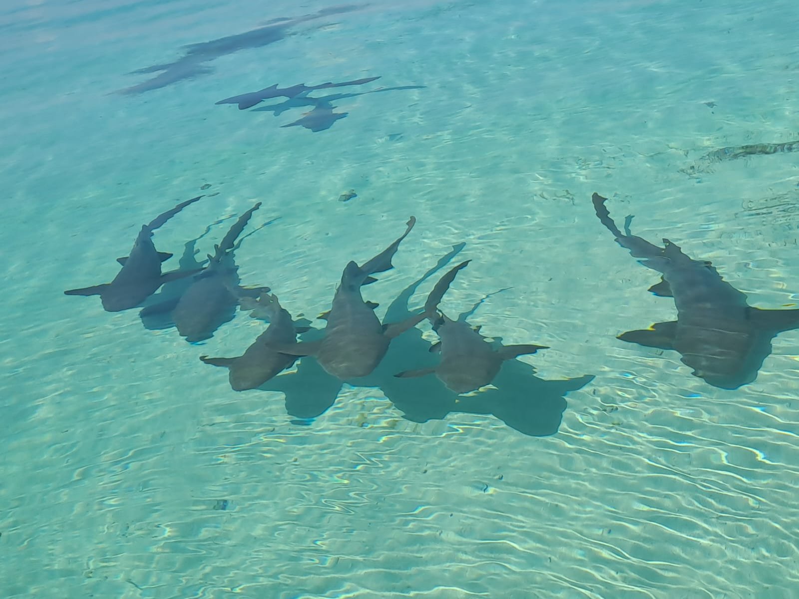 All Inclusive Tour 1